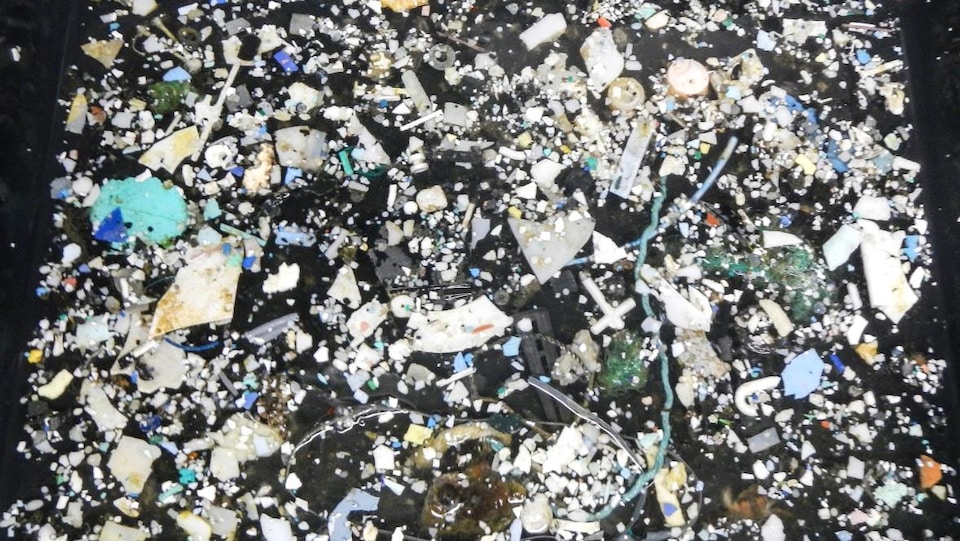 Dans un cadre, on voit des centaines de déchets de plastiques collés ensemble de façon à faire une sorte d'oeuvre d'art pour sensibiliser le public. 