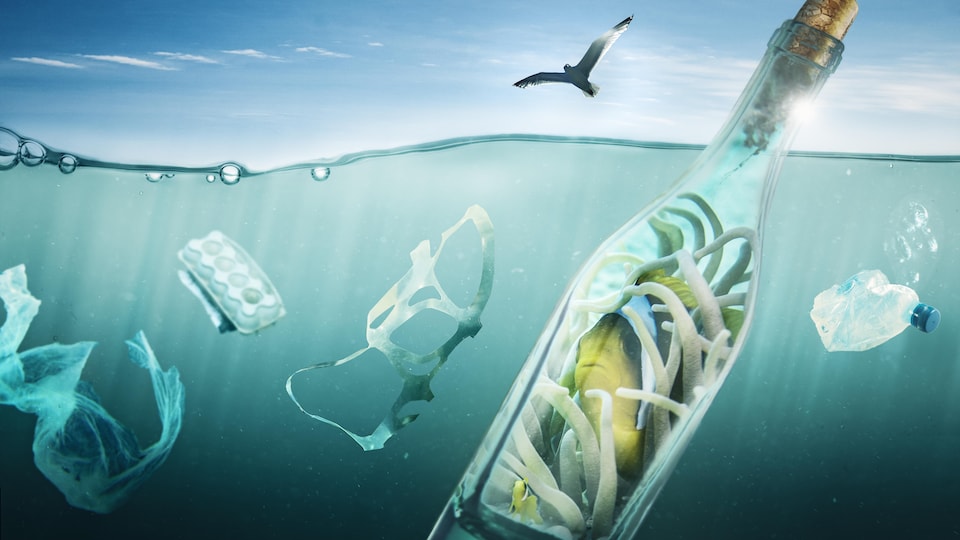 Un poisson se protège dans une bouteille de la pollution de l'environnement