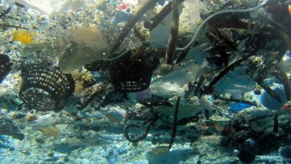 Des matières plastiques au fond d'un plan d'eau.