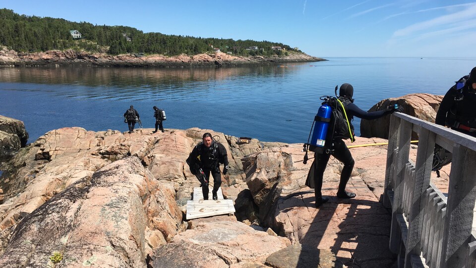 The Baie des Anémones, in Les Escoumins, is a must, according to many divers in Quebec.