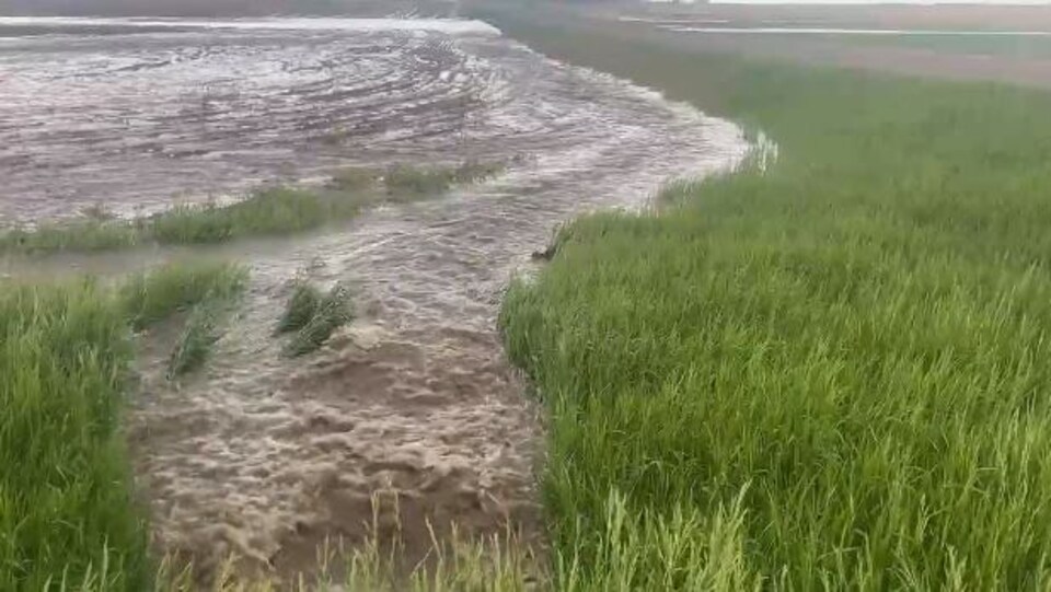 Un champ inondé.