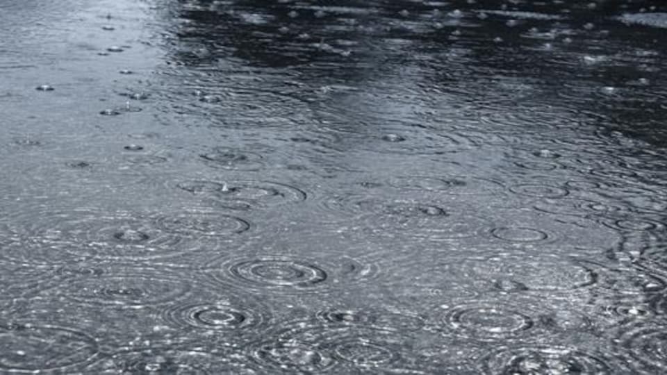 Pluie soutenue frappant contre la chaussée.