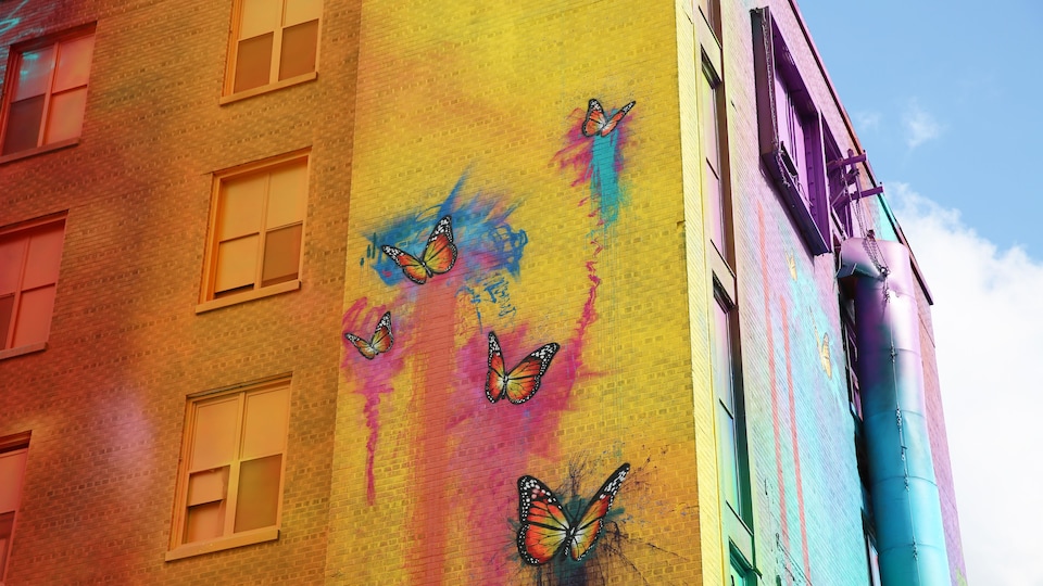 Des papillons décorent un mur multicolore.