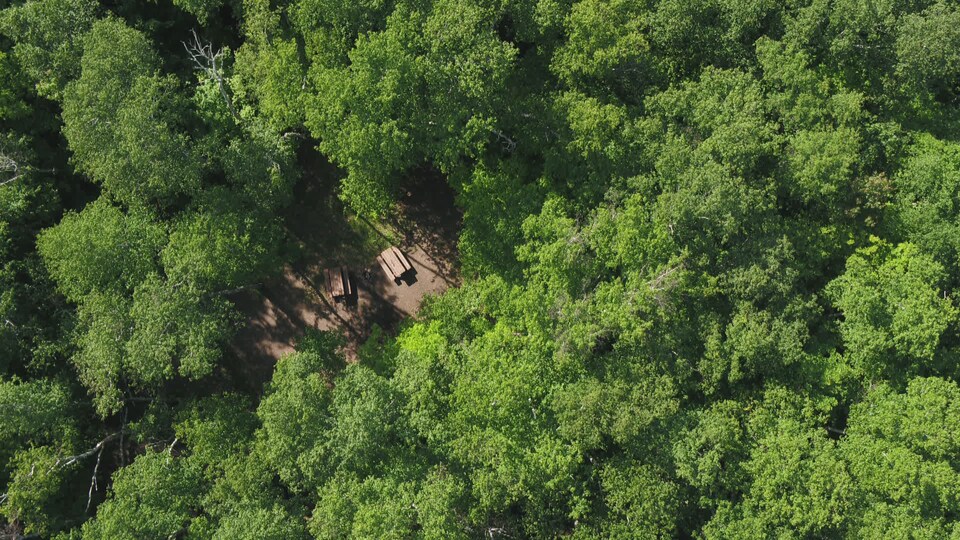 Vue aérienne d'un terrain de camping à travers une dense forêt
