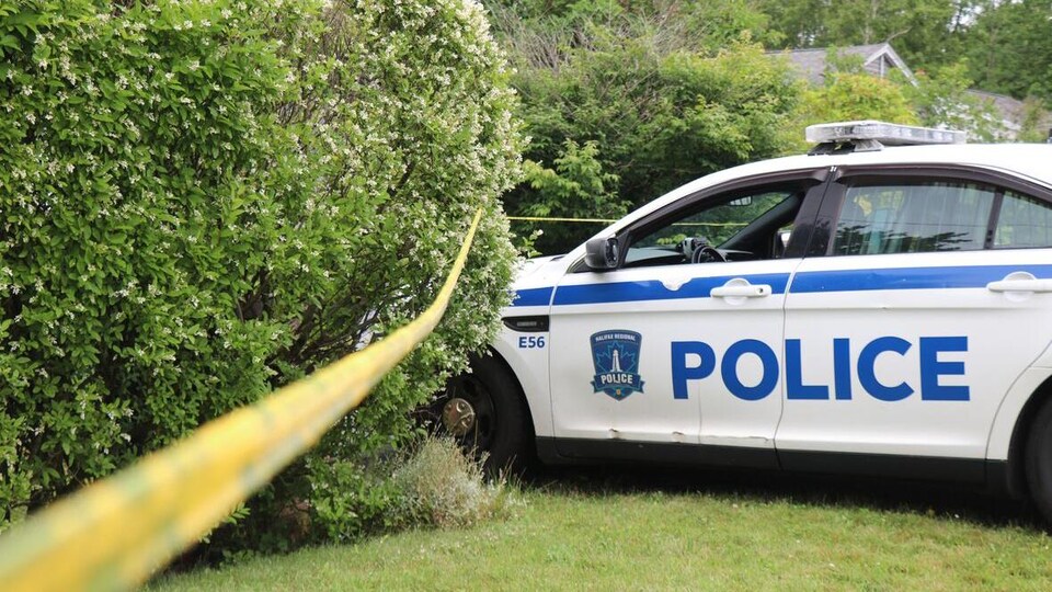 Une voiture de police stationnée avec le devant dans une haie.