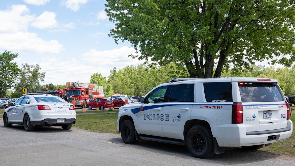 Police cars and a fire engine.