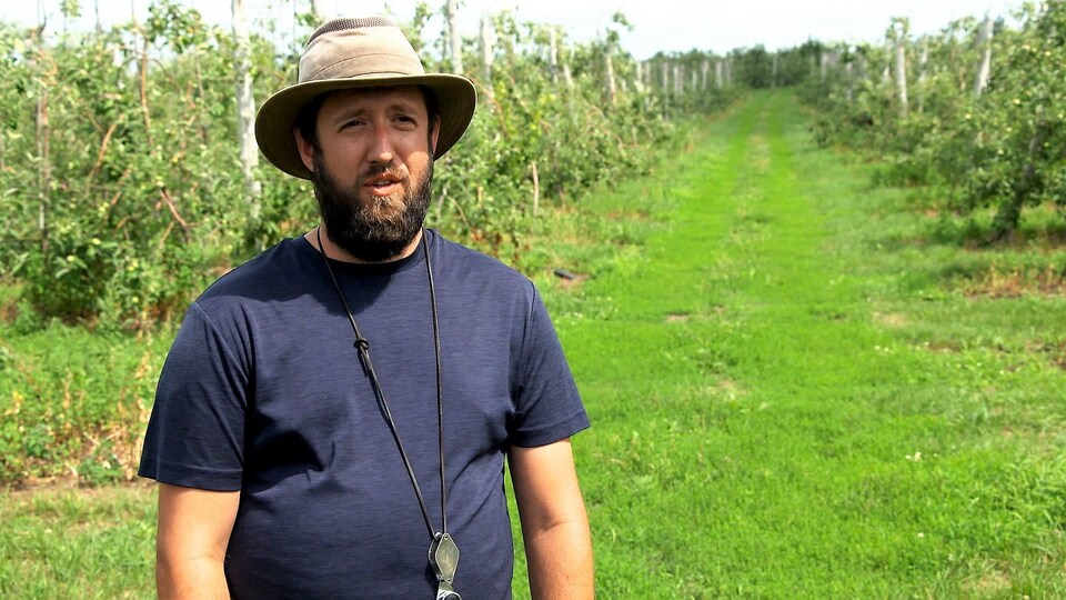 Sébastien Beauchamp, agronome, dans un verger.