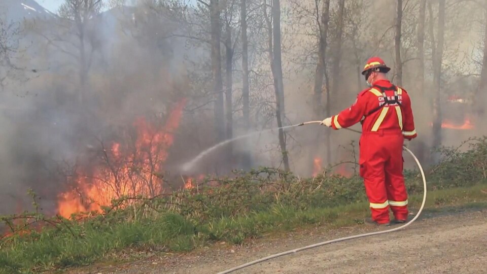 Un pompier tente d'éteindre un feu de forêt au bord d'une route avec un tuyau rempli d'eau.
