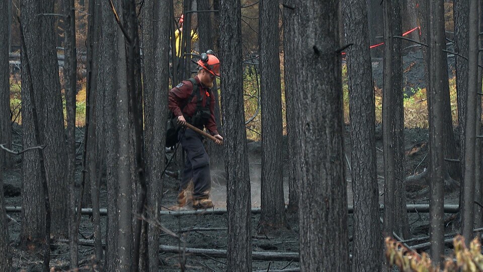 Un pompier forestier au travail dans la forêt.