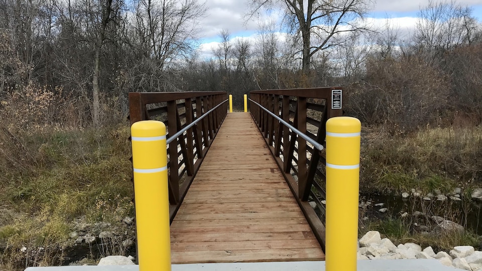 Le pont qui surplombe un cours d'eau avec de la végétation autour.