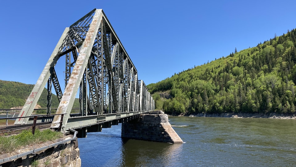 The bridge crosses a river, in front of a very thick forest.