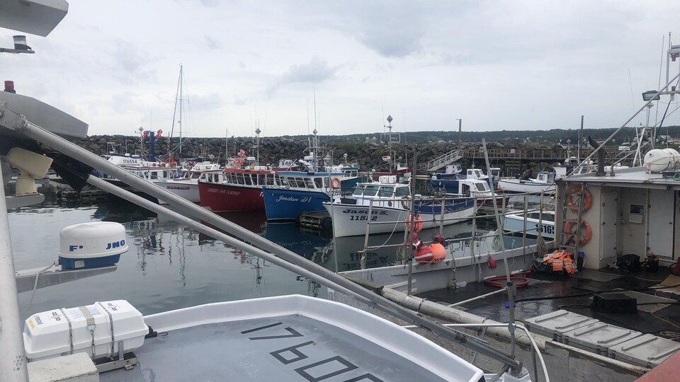 Des bateaux de pêche accostés dans le port de Grande-Rivière.
