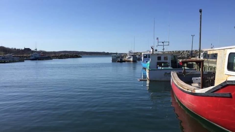 Des bateau de pêche côtière amarrés à un quai