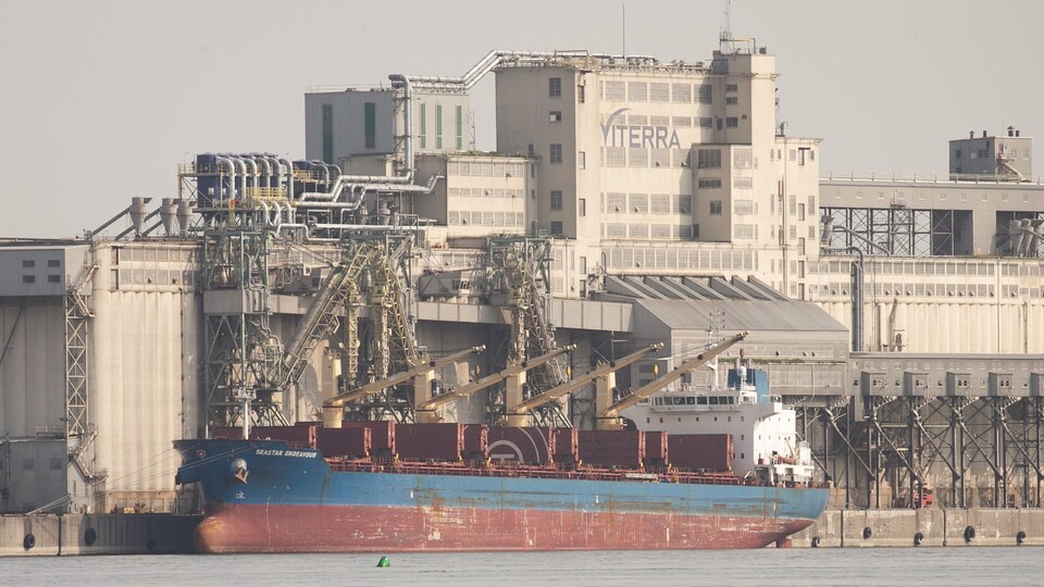 Le navire cargo Seastar Endeavour devant les installations de Viterra, au port de Montréal.