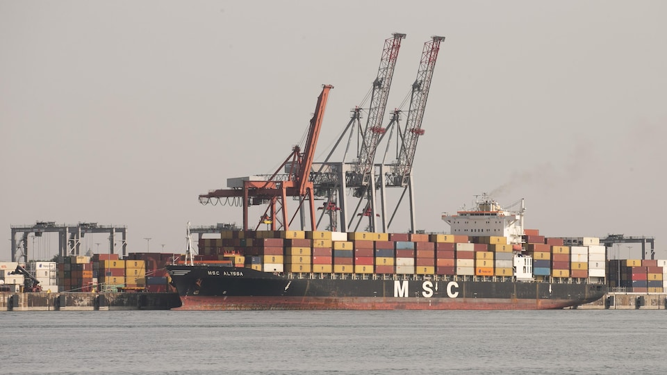 Le navire cargo MSC Alyssa, chargé de conteneurs, au port de Montréal.