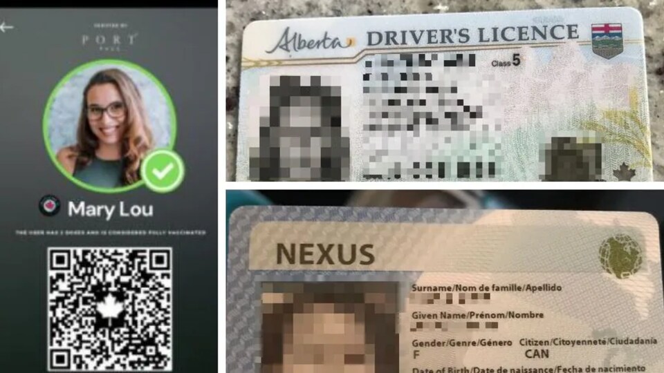 Un montage photo montre à quoi ressemble l'application Portpass ainsi qu'une photo d'un permis de conduire et d'une carte Nexus.