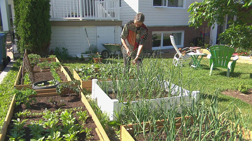 Une femme cultive dans son jardin