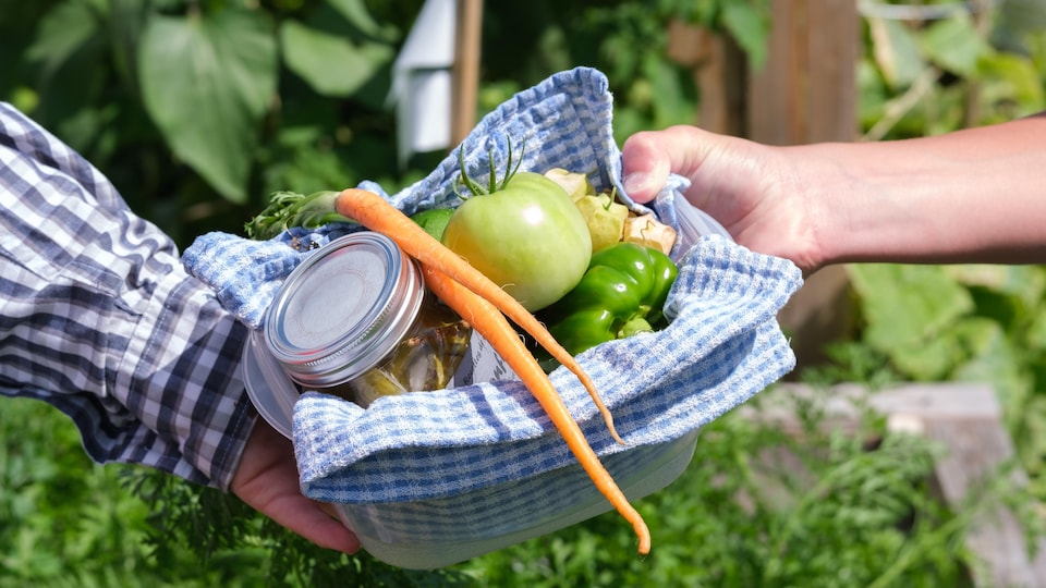 Un panier de légumes contenant des carottes, des poivrons et des tomates.