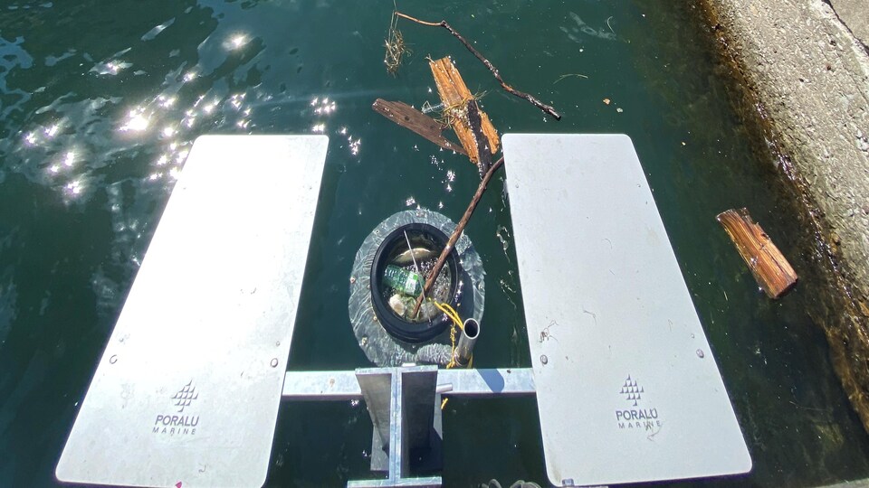 Une poubelle flottante ramasse des déchets dans le lac Ontario.