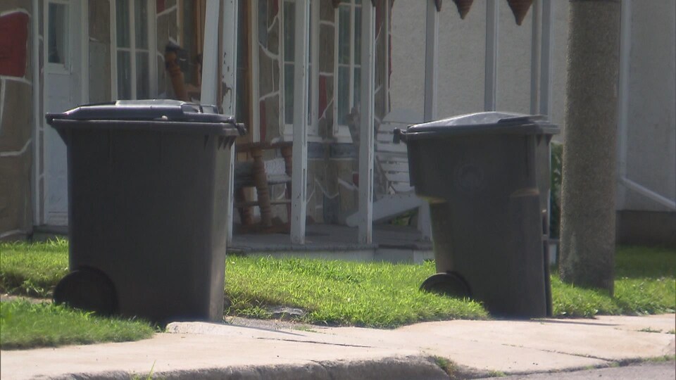 Deux poubelles sur le bord de la rue, devant des maisons.