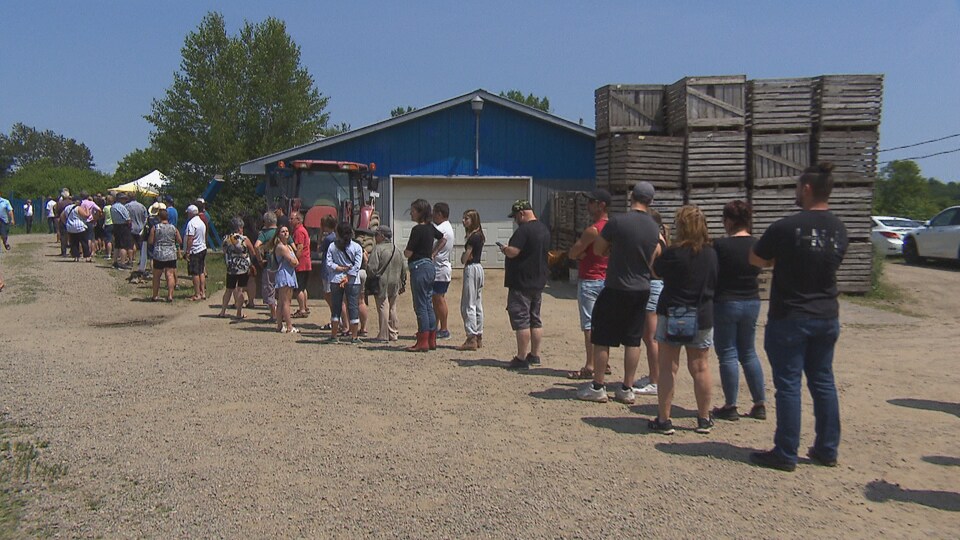 Achalandage monstre d’une ferme de Yamachiche RadioCanada.ca