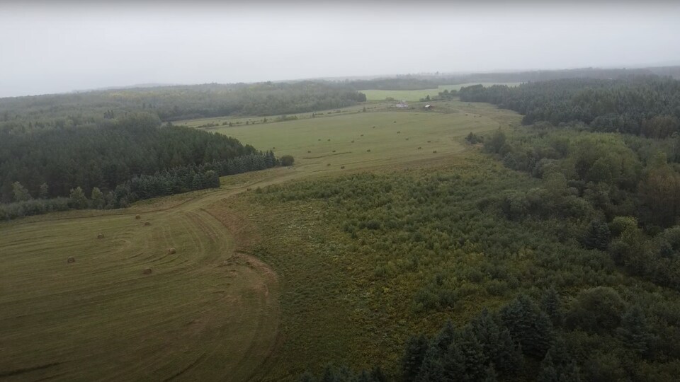 La terre agricole de Paul St-Pierre Plamondon, à Saint-Édouard-de-Fabre, au Témiscamingue. 