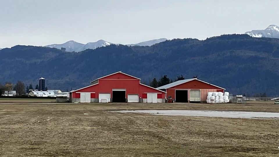 Une ferme rouge au pied des montagnes. 