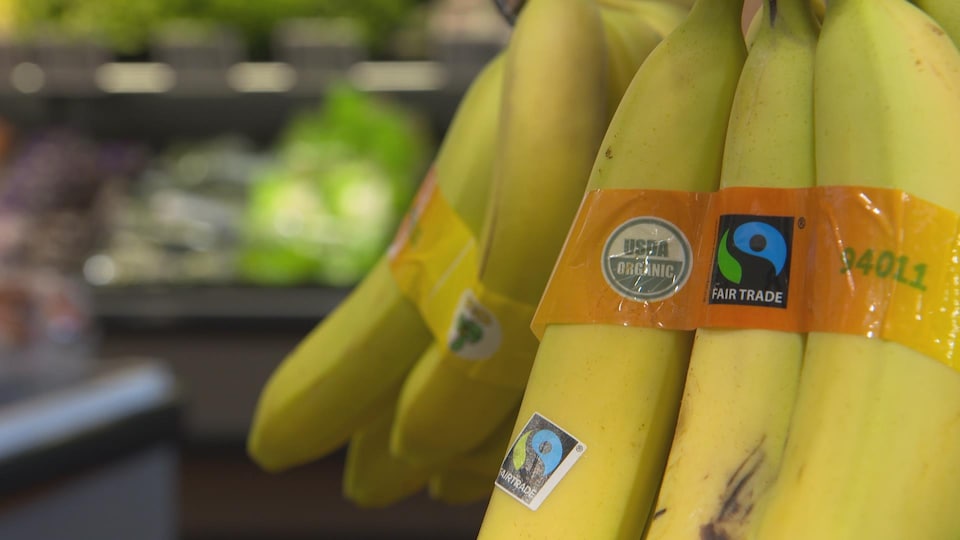 Des bananes biologiques