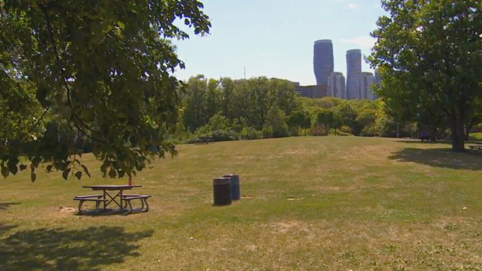 Un parc urbain en plein été.