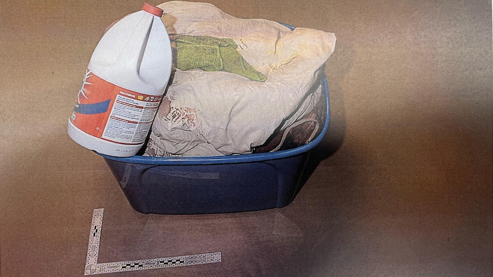 A blue plastic bin contained a can of bleach and a large blanket with blood stains.