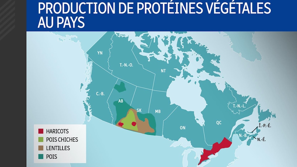 Une carte du Canada montre les endroits où sont produites les protéines végétales.