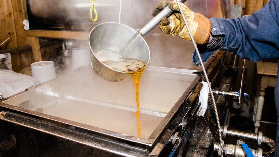 La valeur de la production de miel et de sirop d'érable a augmenté en 2017 au Canada.