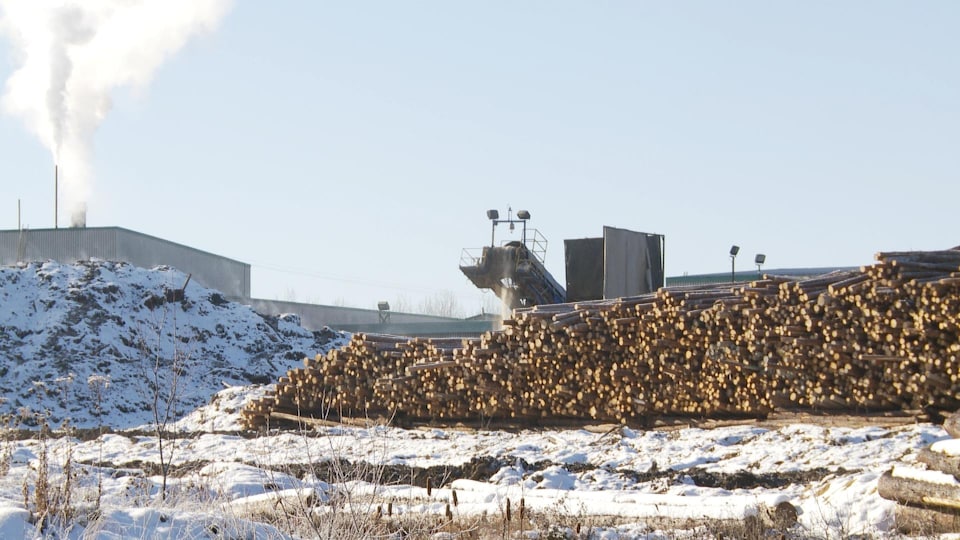L'usine de Produits Forestiers Résolu de Senneterre avec, aux devants, une centaine d'arbres coupés empilés.