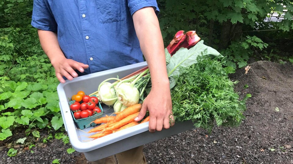 Une boite de légumes tenu dans les bras d'un homme.