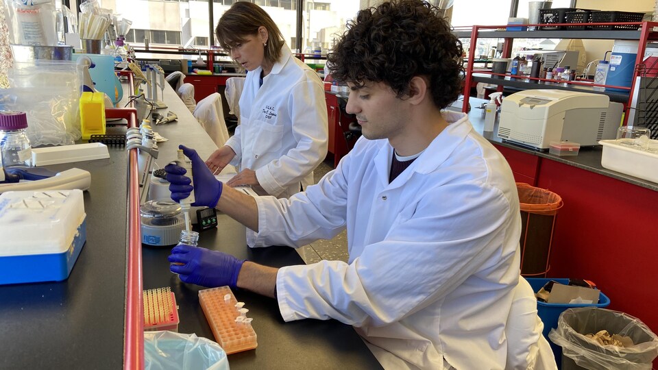 Deux scientifiques travaillent dans un laboratoire.