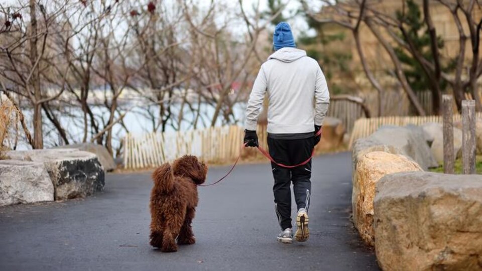 Un homme promène son chien.