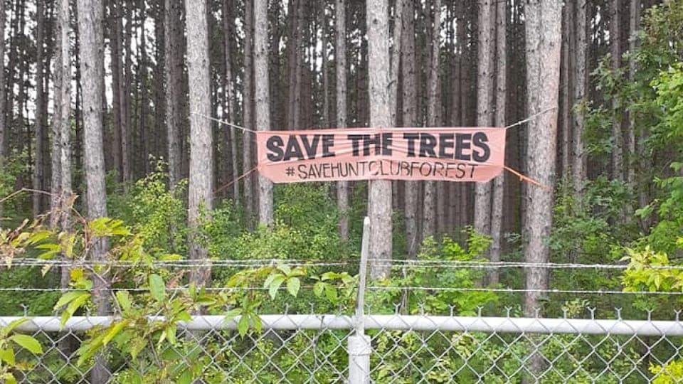 Une affiche attachée à des arbres, sur laquelle on peut lire, en anglais : « Protégez les arbres ». 