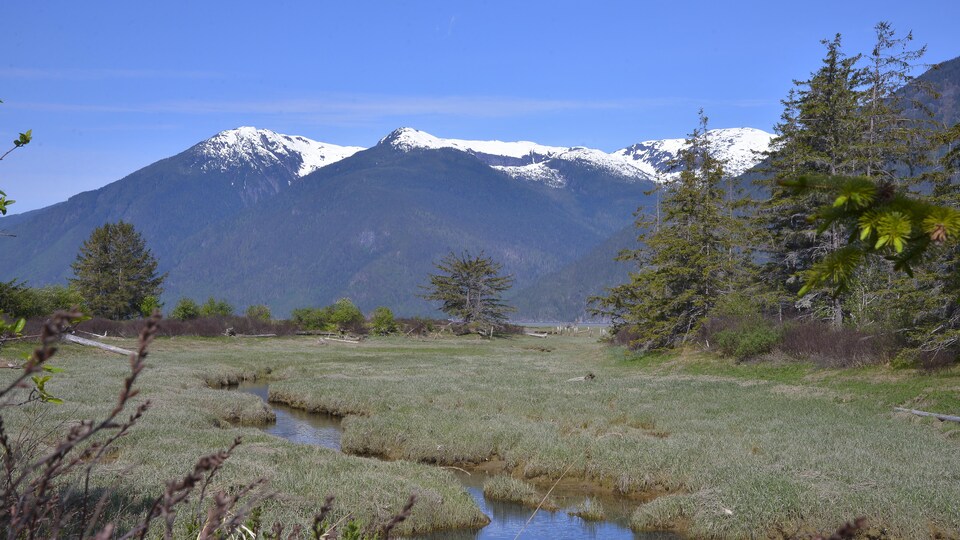 Vallée de Bella Coola.