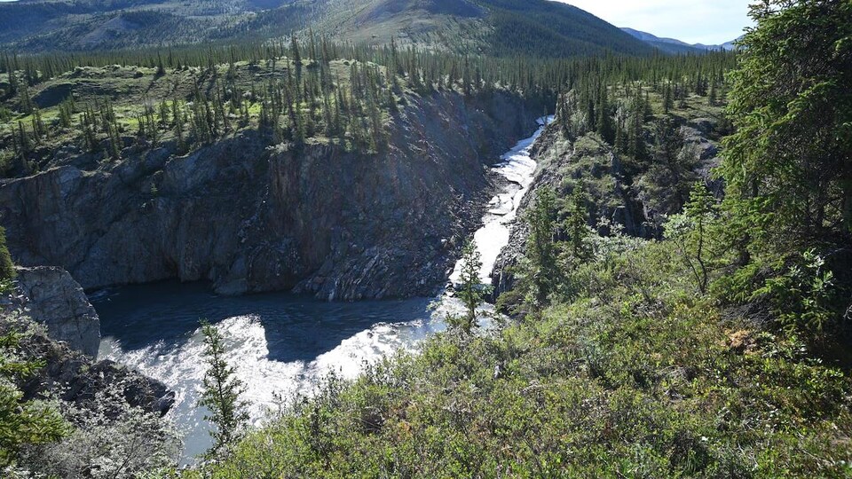 Yukon vers plus de protection pour le bassin hydrographique du versant nord RadioCanada.ca