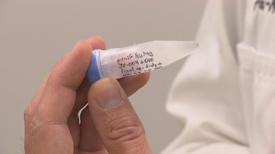 Ce tube contient suffisamment de protéines de COVID-19 pour effectuer des recherches pour un vaccin ou un médicament.
