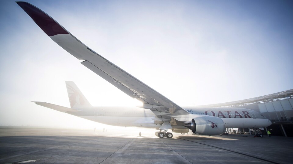 Un avion de la compagnie Qatar Airways est immobile sur le tarmac.