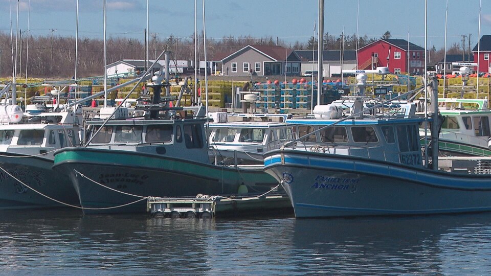 Les bateaux de pêche au homard à quai, devant des paniers de homards.
