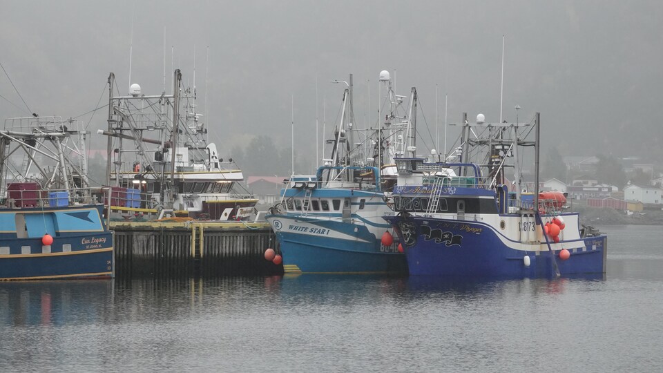 Des bateaux de pêche imposants lors d'une journée brumeuse.