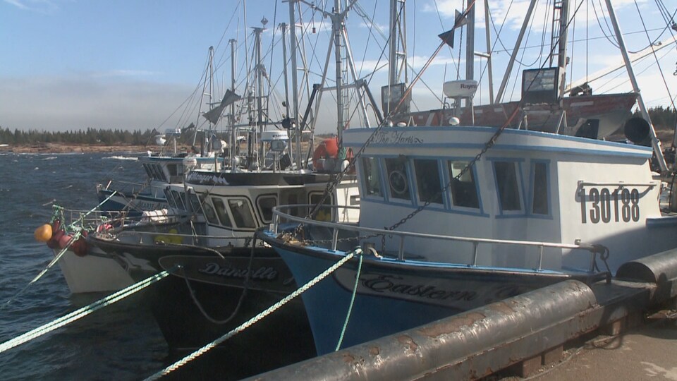 Trois bateaux de pêcheurs amarrés côte à côte; le premier est amarré au quai.