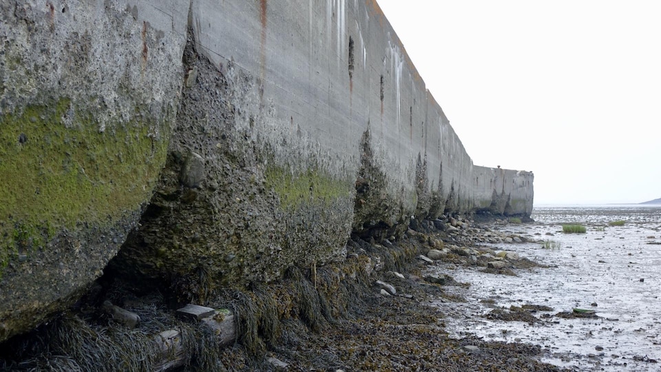 Des travaux de plus d'un million $ sont nécessaires au quai Taché de Kamouraska.