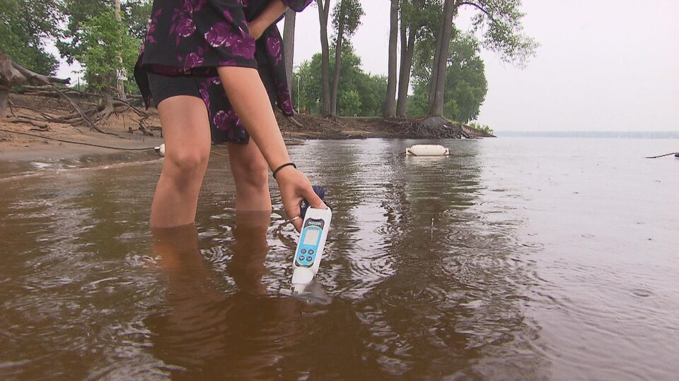 La qualité de l'eau de la place du parc de l'île Saint-Quentin est évaluée fréquemment par la Ville de Trois-Rivières.