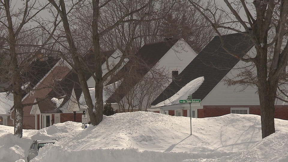 Quartier résidentiel de Trois-Rivières dont les maisons ont été construites avant 1984.