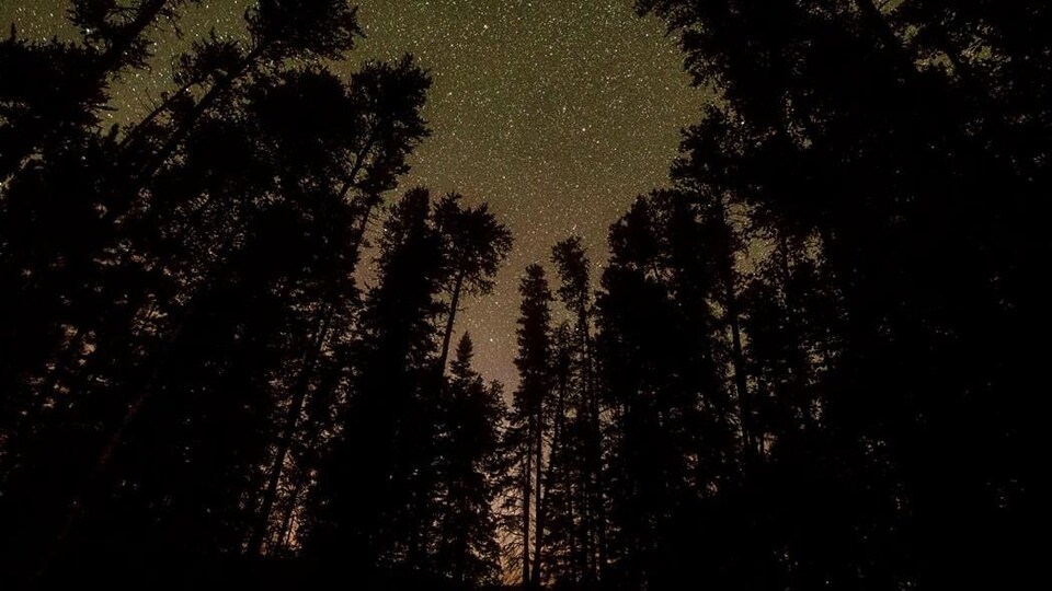 Le ciel étoilé dans le parc provincial Quetico.