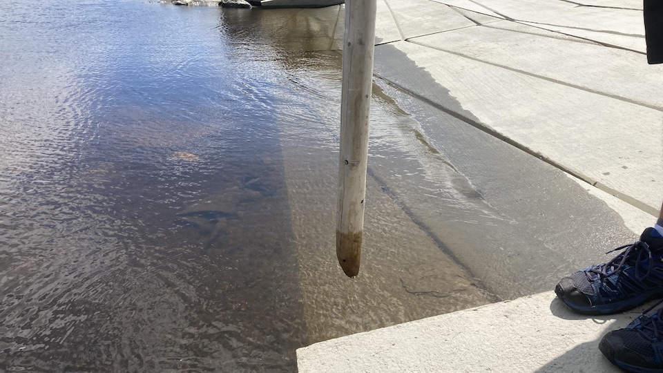 Un bâton dans l'eau.