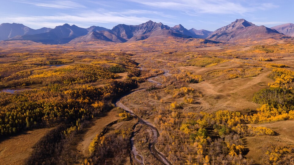 Conservation de la nature Canada veut protéger un ranch dans le sud de l' Alberta 